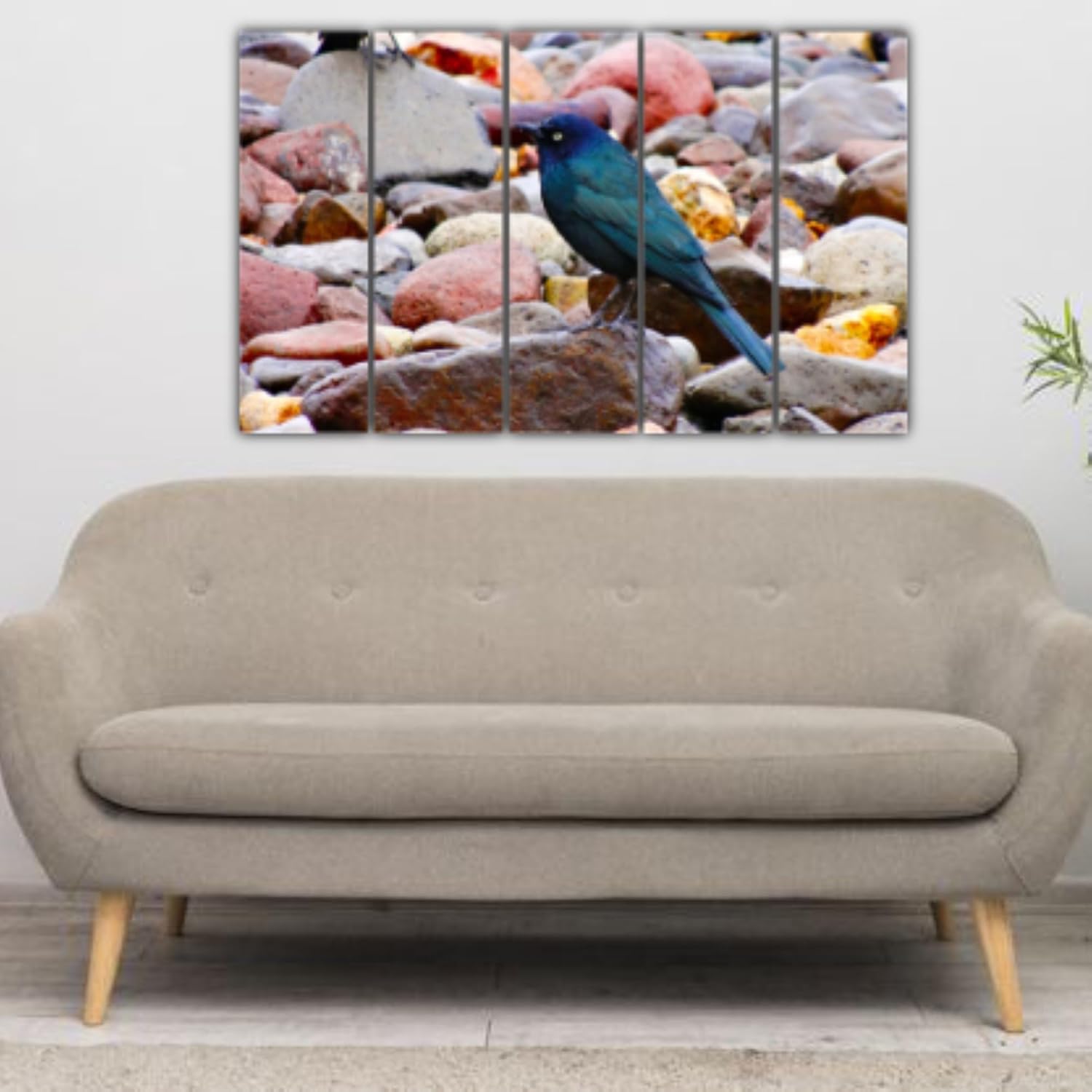 Bird-tastic Multi-Frame Wall Art hung on a living room wall showcasing five colourful framed birds.