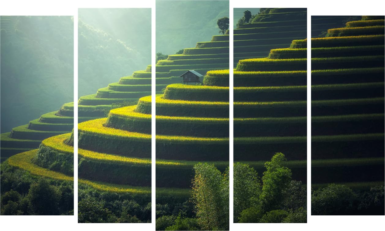 Nature-fest 5-Frame Wall Art That'll Leaf You Smiling - Framed Multi-Panel Wall Art (150x76cm)