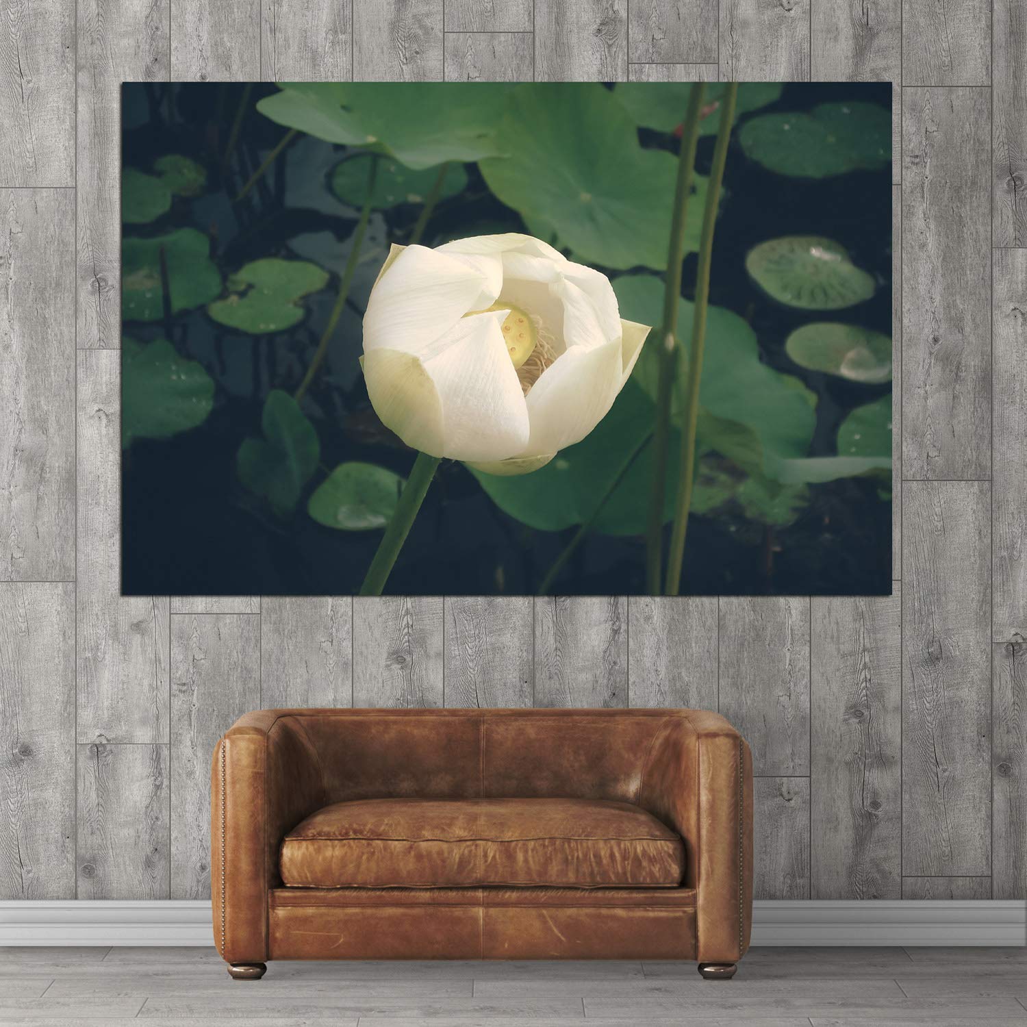 Hold On to Your Lily Pads: Water Lily-tastic Nature Unframed Wall Art