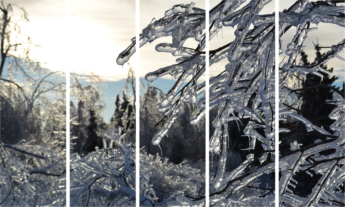 Winter Wonderland Multi-Frame Wall Art That'll Melt Your Heart - 5 Panels Framed