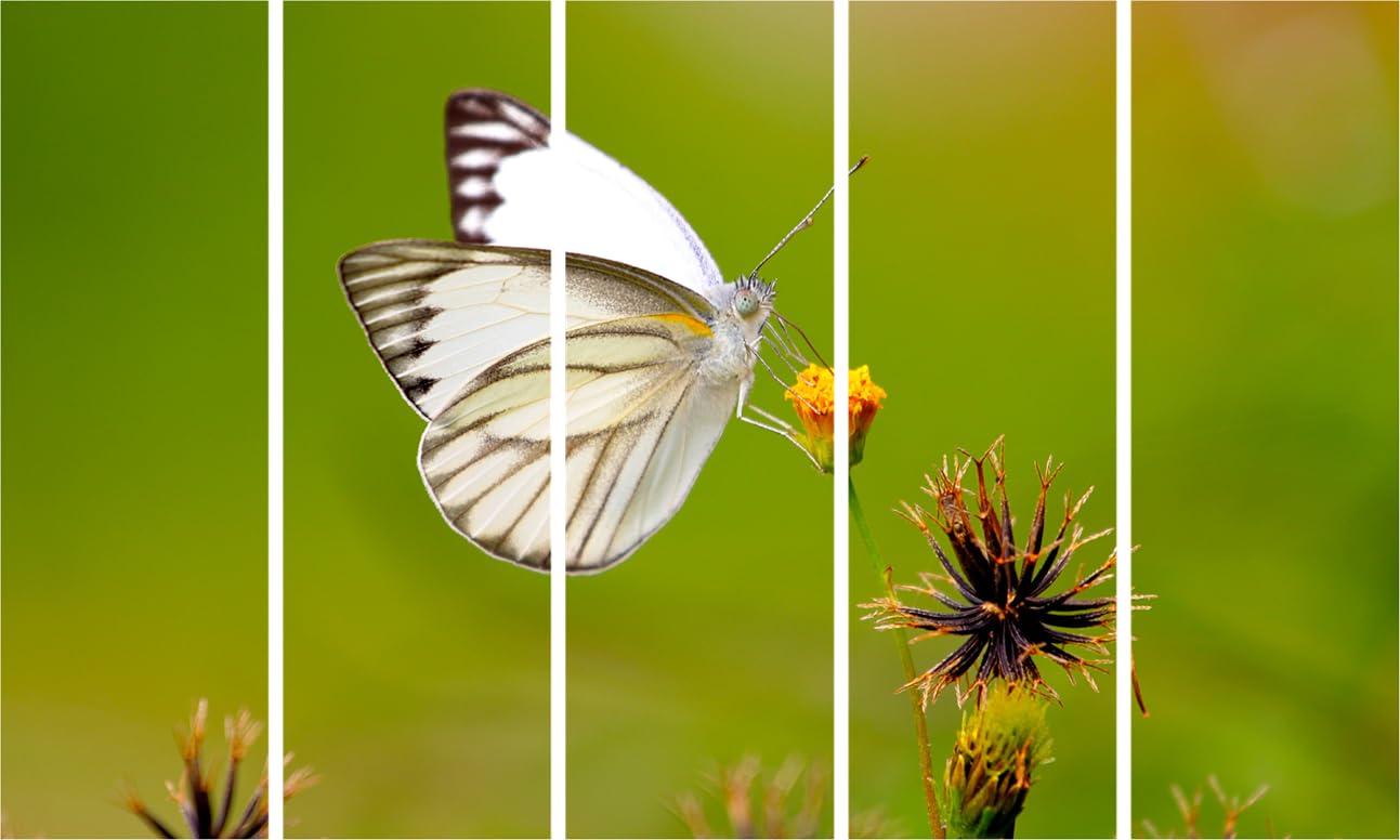 Butterfly Express 5-Panel Wall Art That'll Transport You to a Garden - Framed & Ready to Hang (150x76cm)