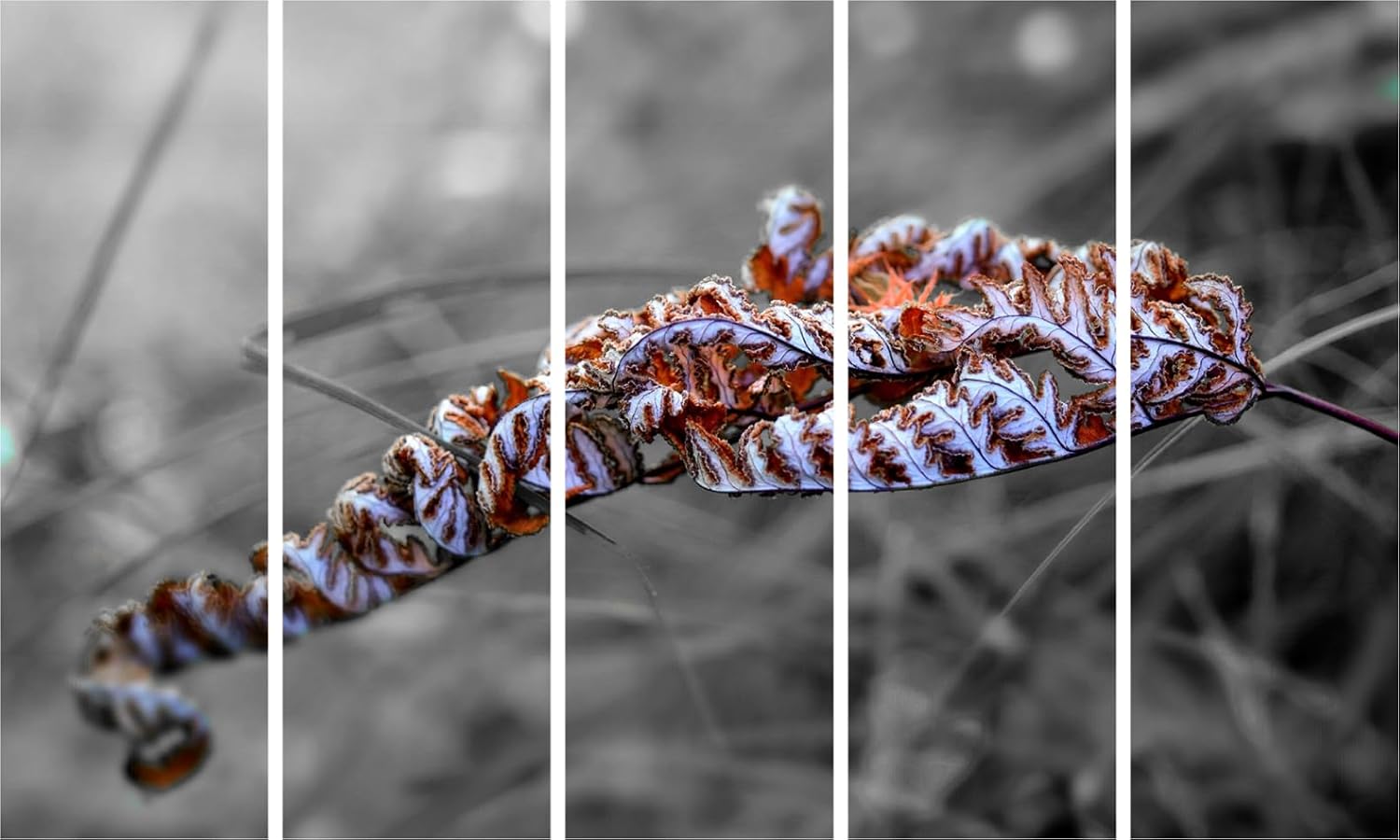 Leaf It to Autumn: Multi-Frame Photography Framed Wall Art showcasing vivid fall leaves across five sleek panels.