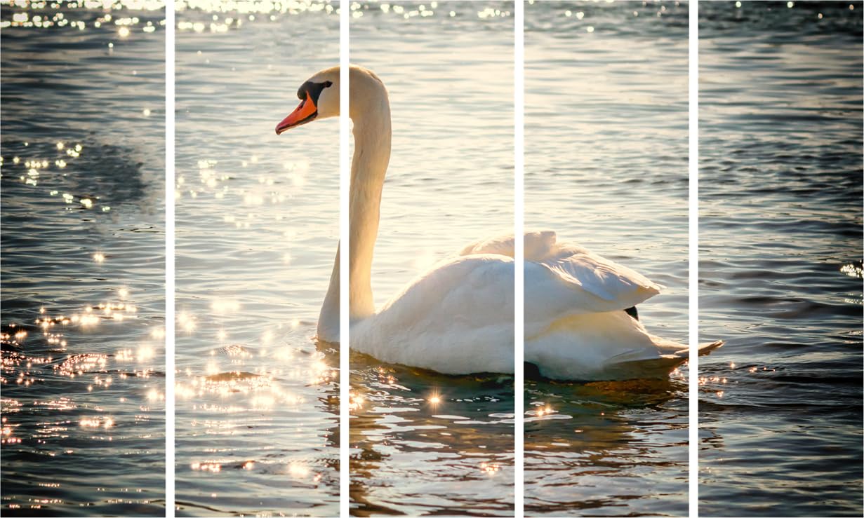 Swan-sational Multi Frame Photography Wall Art That'll Have Your Walls Waddle With Joy - Framed Swan Decor (127x76cm)