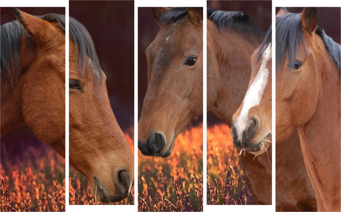 Gallop-tastic 5-Panel Horse Vastu Framed Wall Art That'll Stampede Boring Walls