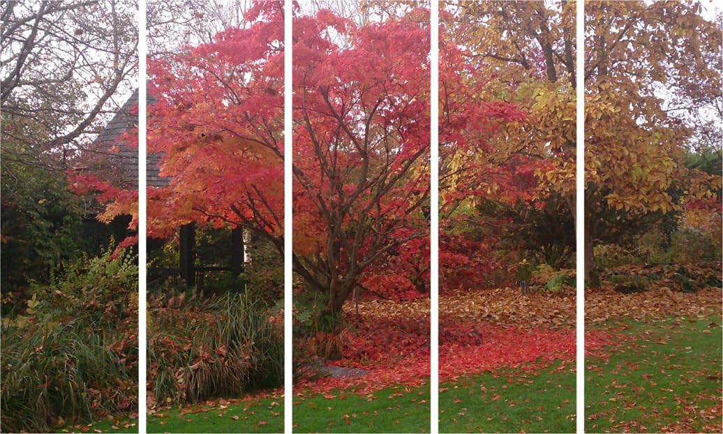 Tree-mendous Multi-Frame Wall Art That'll Leaf You in Awe - Framed Nature Painting (127x76cm)