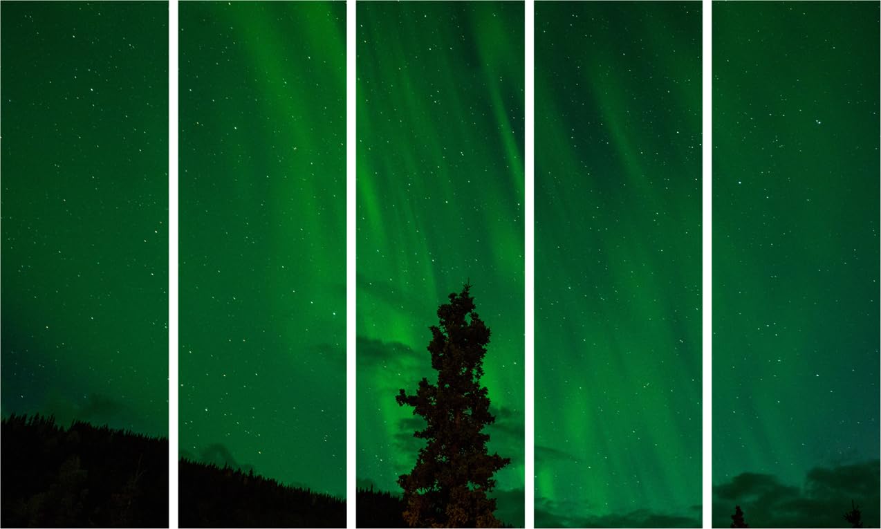 Nature's Party  Framed 5-Panel Wall Art That Brings the Outdoors In