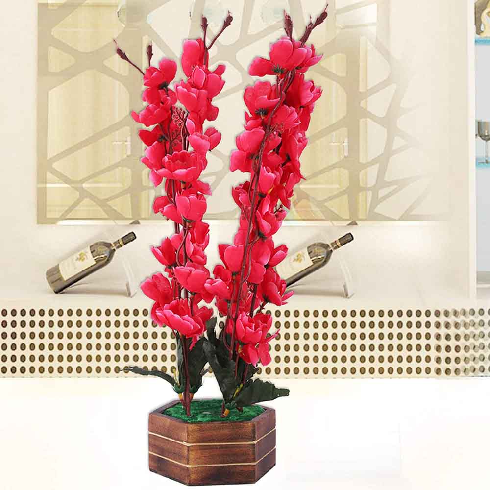 Flower and Plants