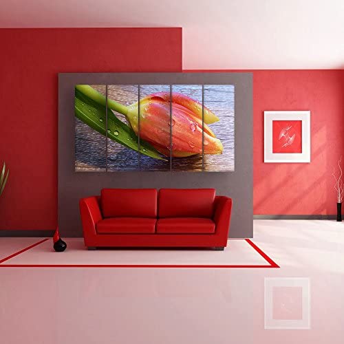 Flora-licious Photography Framed Wall Art That's Blooming Gorgeous (150x76cm Multi-Frame)