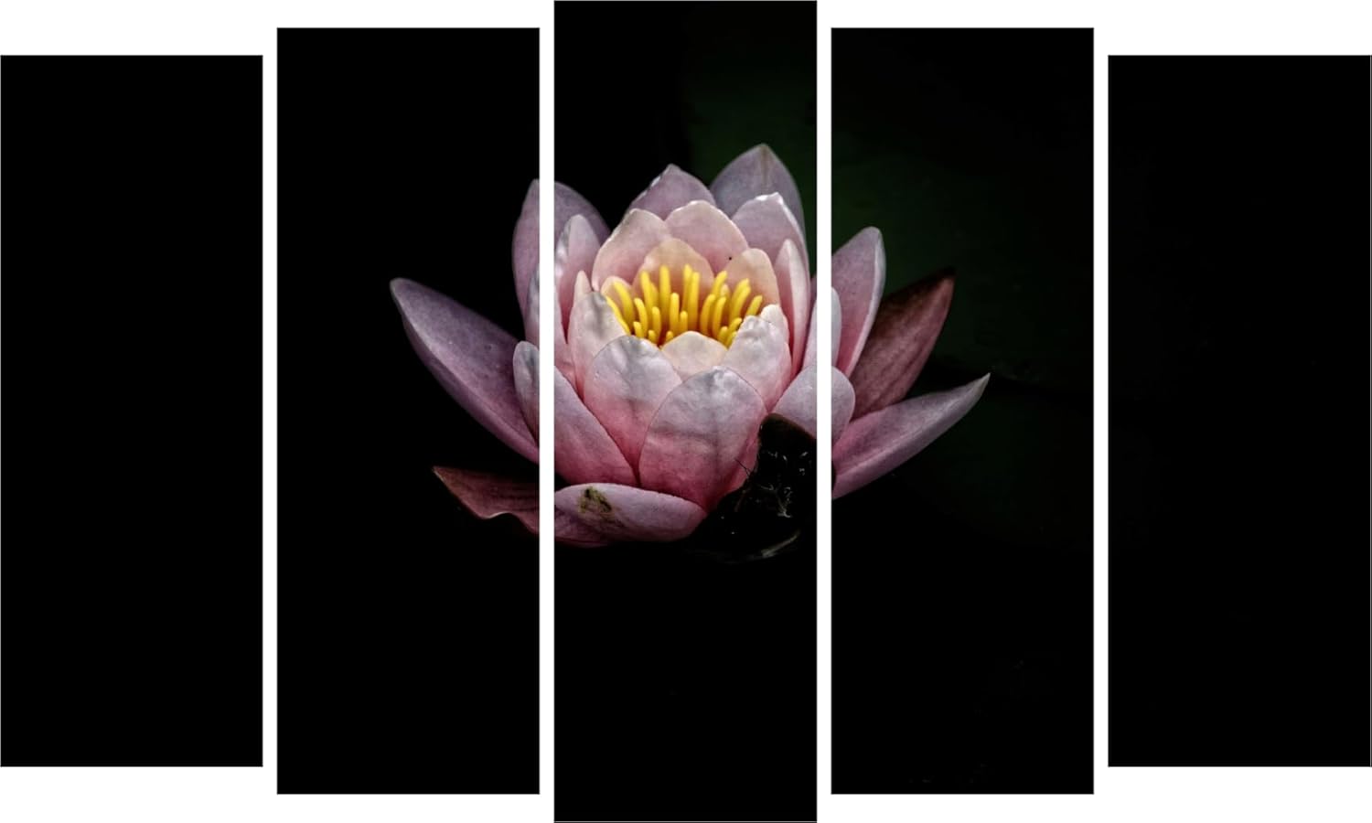 Lotus-lightful Multi-Panel Photography Framed Wall Art