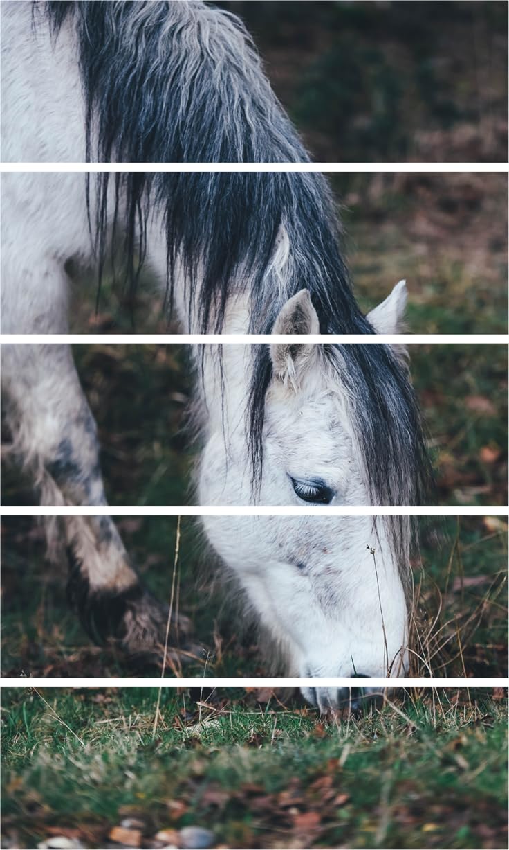 Gallop-tastic Framed 5-Panel Horse Nature Wall Art displayed in a cozy living room