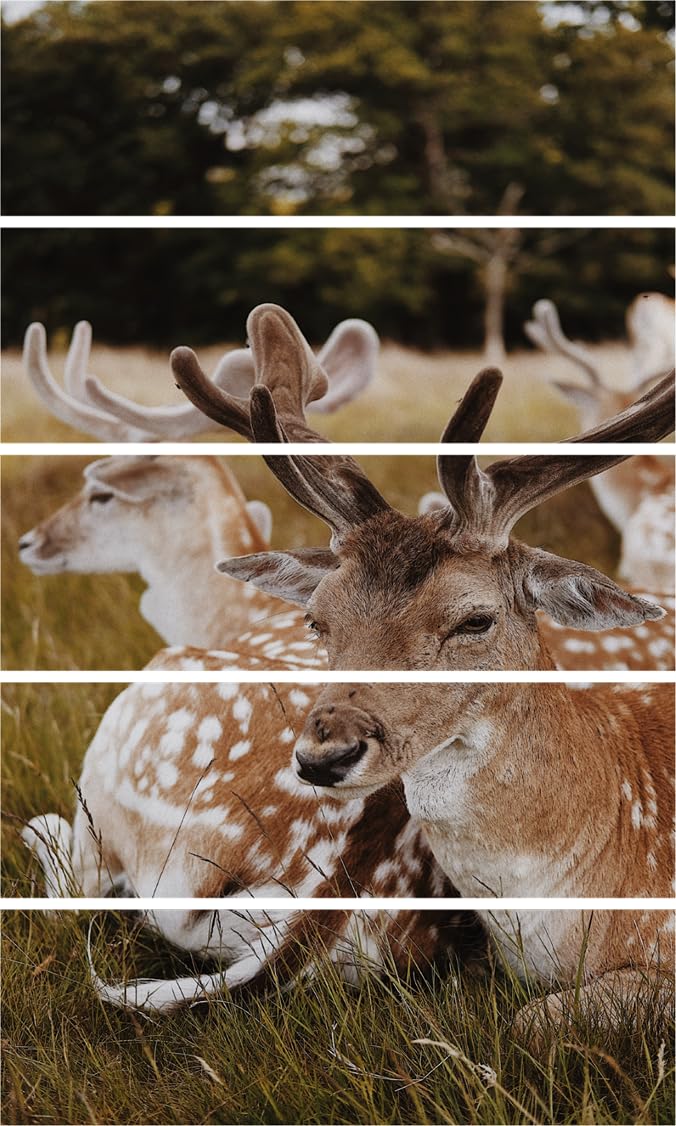 Deer-Lightful Swamp Deer Framed Wall Art showcasing five panels of deer in lush green wetlands