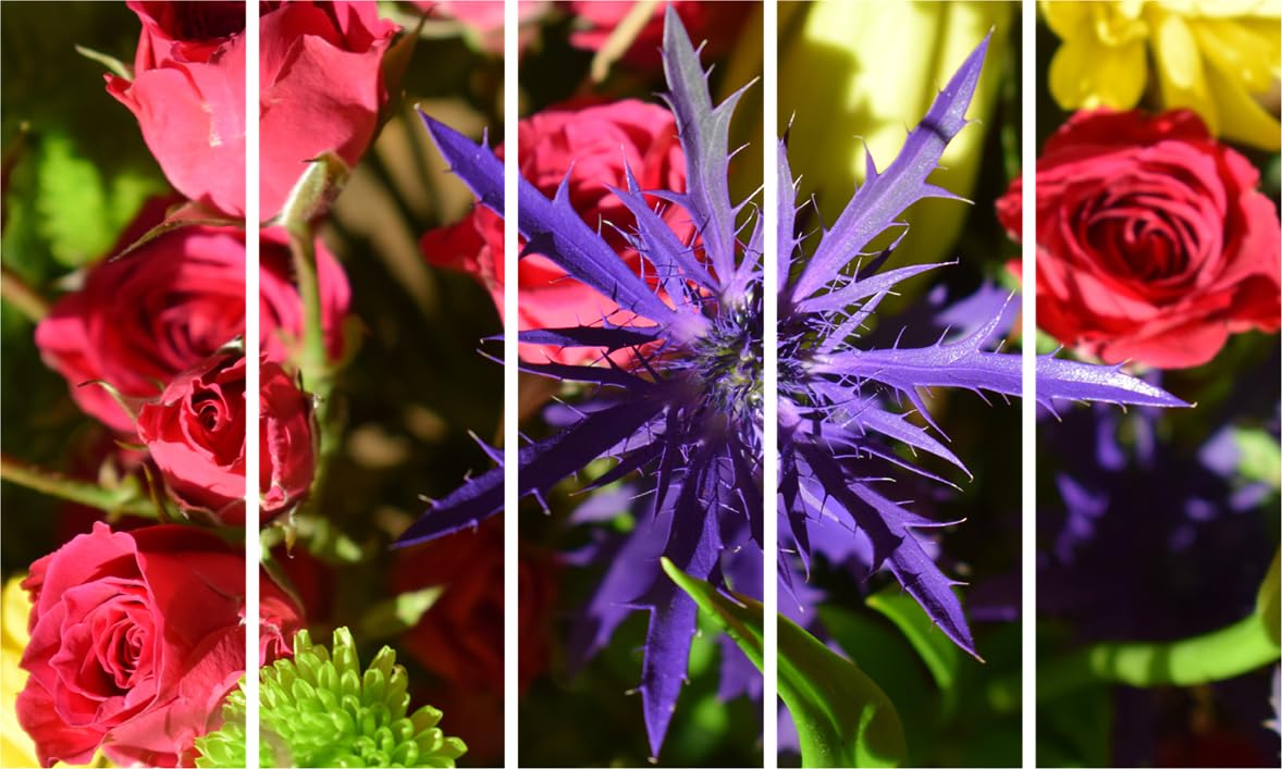 Petal Party Photography: Multi-Frame Framed Wall Art That'll Make Your Walls Bloom