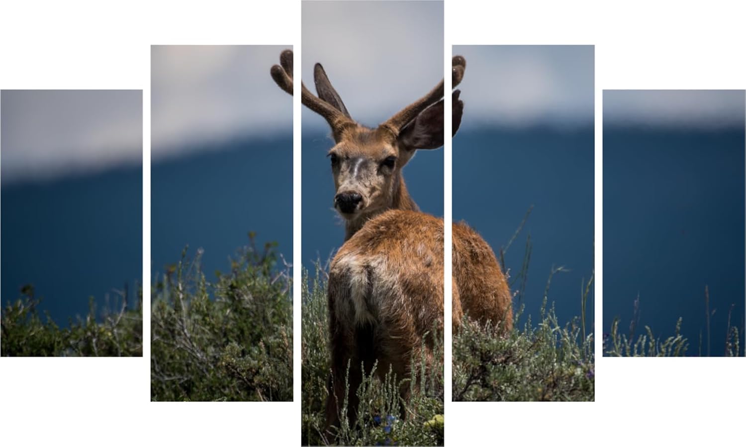 Image of 'Swamp Deer-tails: 5-Panel Nature Framed Wall Art That'll Make Your Walls Gallop with Envy' Wall Art showing a herd of deer in misty swamp greens.