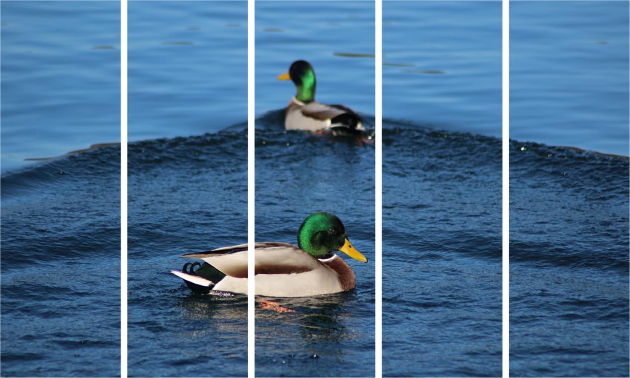 Duck-tastic Vastu Framed Wall Art That'll Make Your Walls Quack - Charming 5-Panel Ducks Display (150x76cm)