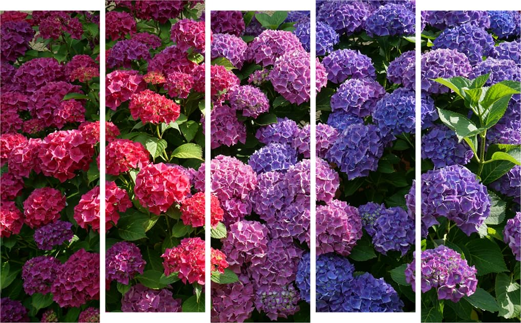 Bloom-tastic Floral Photography Framed Wall Art with vibrant multi-panel flowers