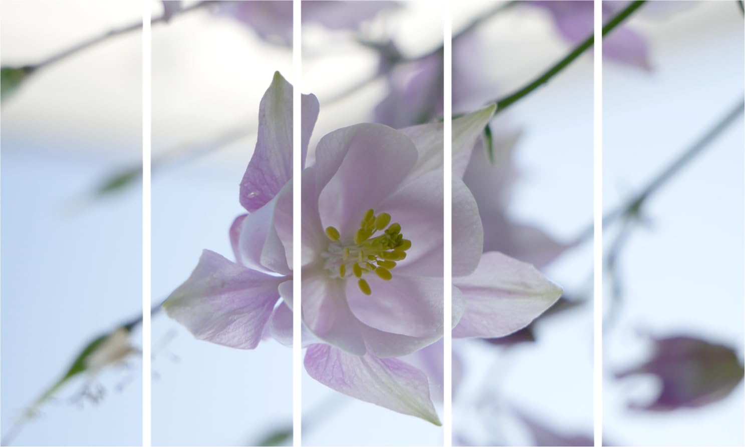 Flower-tastic Multi-Frame Framed Photography Wall Art That'll Make Your Walls Bloom (127x76cm)