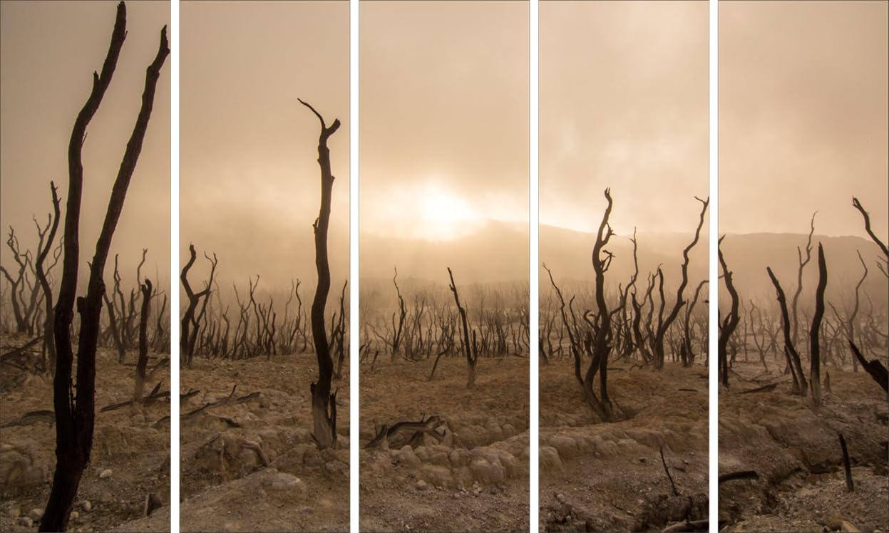 Barren No More: Multi-Frame Nature Photography Framed Wall Art to Sprout Style