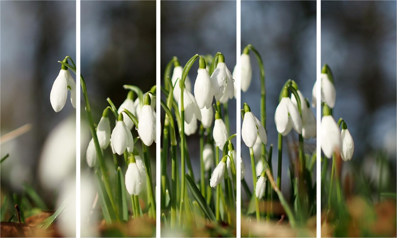 Flower-tastic Photography Framed Wall Art That's Blooming Fabulous