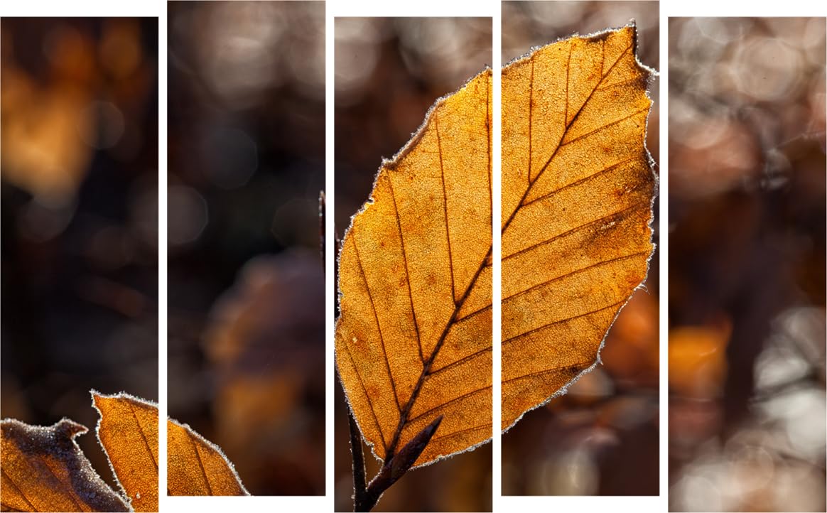 Leaf It to Style: 5-Panel Abstract Leaf Photography Framed Wall Art Thatll Branch Out Your Walls (127x76cm)