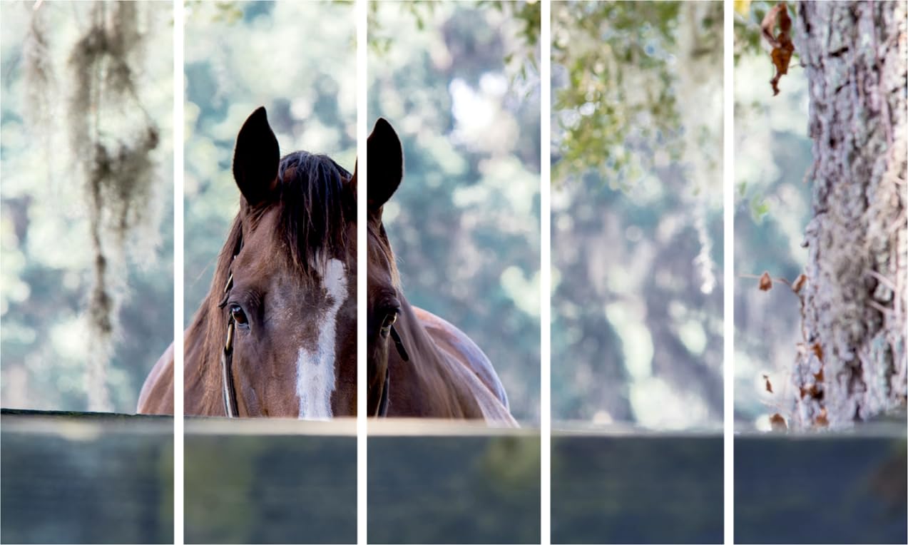 Vibrant Horse-some Framed Wall Art That'll Make Your Walls Neigh featuring five colorful galloping horses