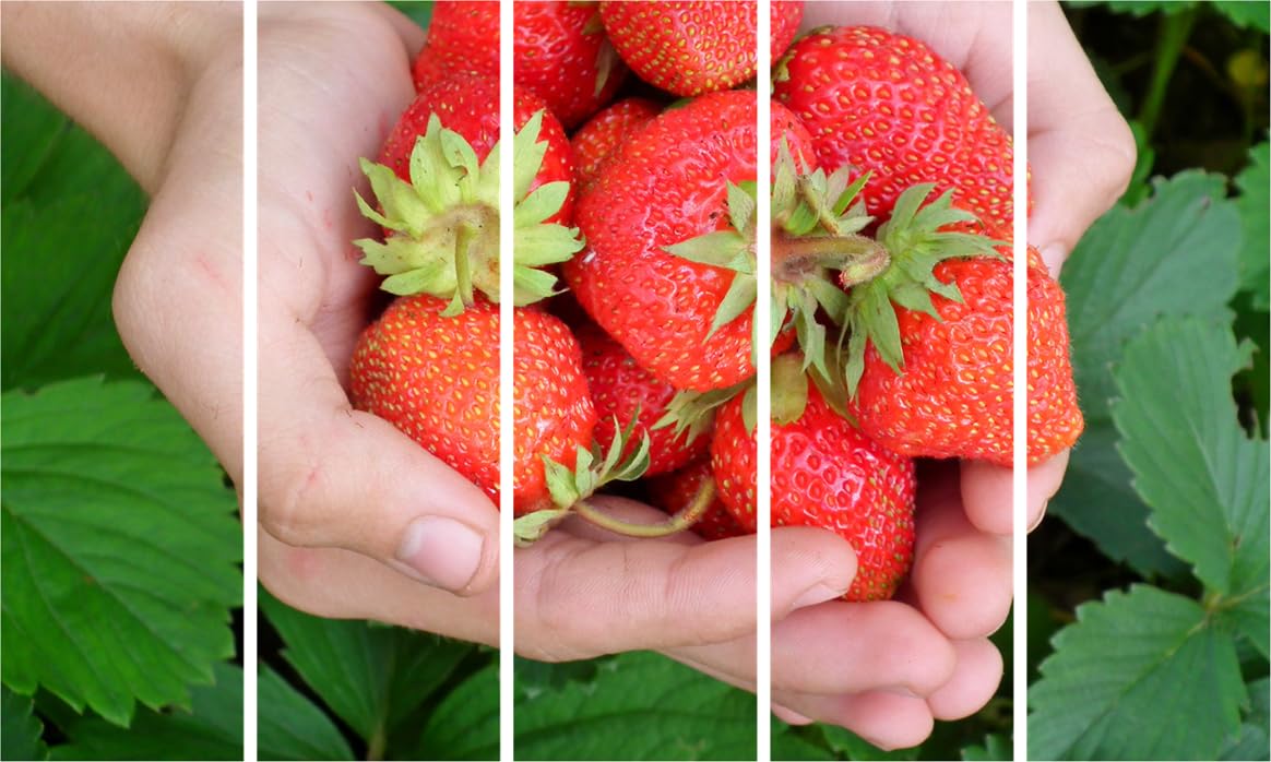 Strawberry-licious 5-Panel Framed Photography That'll Make Your Walls Blush - Berry Gorgeous Wall Art (127x76cm) with bright red strawberries on crisp white canvas.