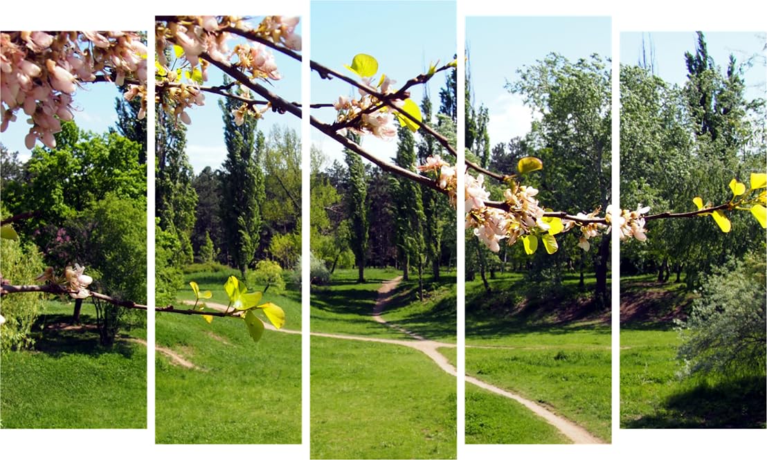 Botanical Bliss: Multi-Frame Abstract Garden Photography Framed Wall Art That'll Leaf You Breathless (127x76cm)