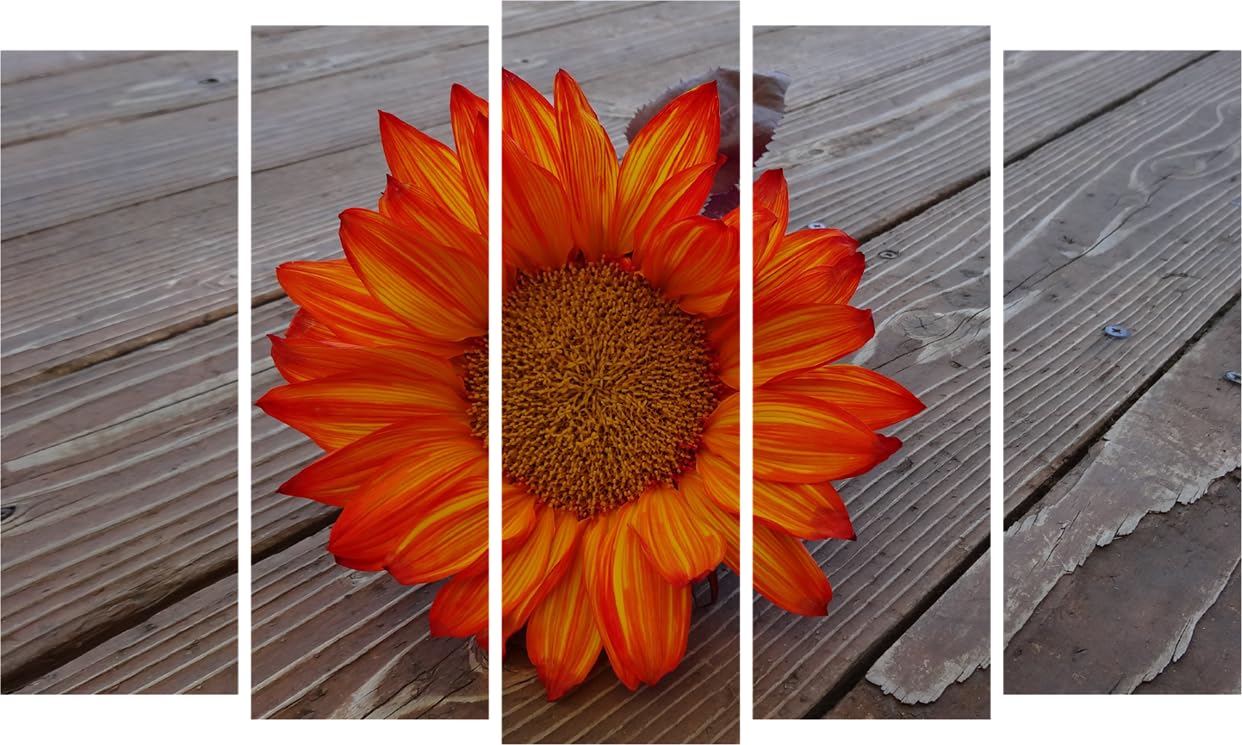 Floral Photography Framed Wall Art That'll Make Your Walls Bloom - Multi-Frame Flower Fiesta (150x76cm)