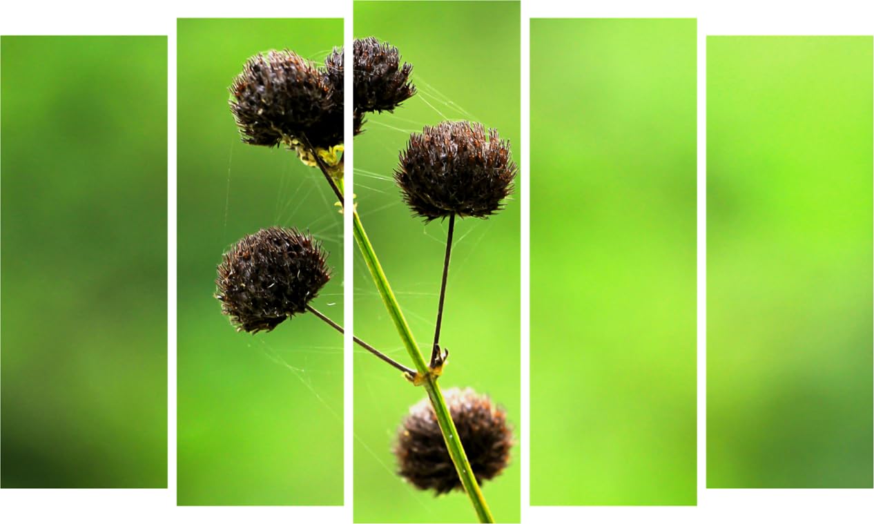 Flora-Phoric: Multi-Frame Flower Photography Framed Wall Art That'll Make Your Walls Blossom (150x76cm)