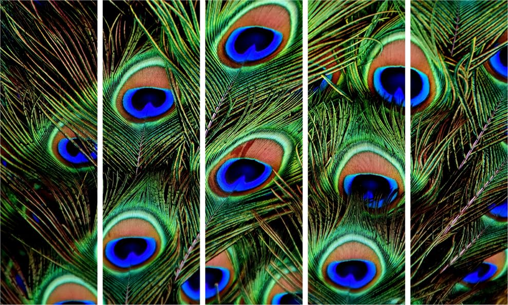 Strut Your Stuff: Peacock Feather Photography Framed Wall Art That'll Make Your Walls Flock (127x76cm) showcasing all five panels in vibrant display.