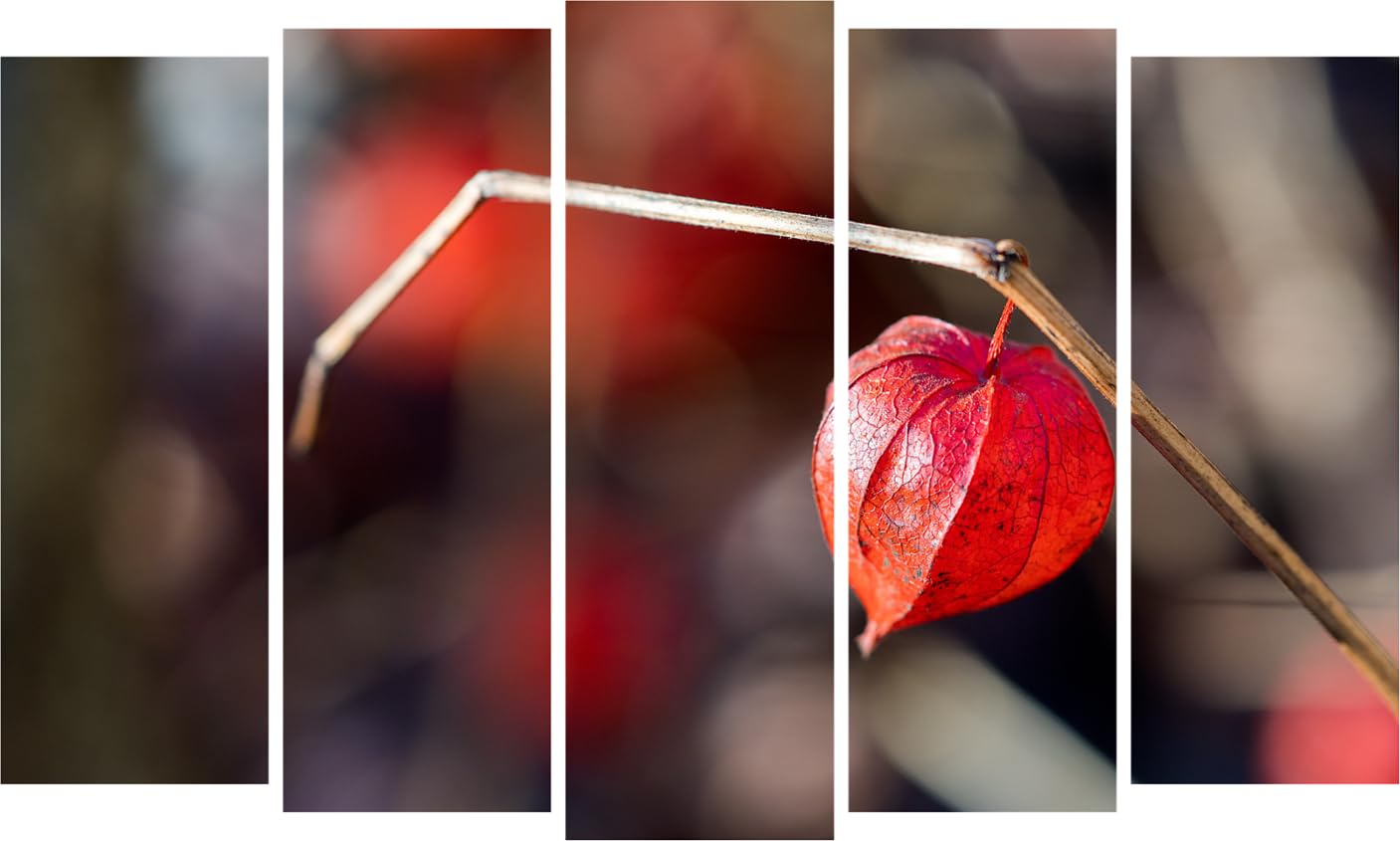 Leaf It to You: 5-Panel Photography and Framed Wall Art to Make Your Walls Jealous