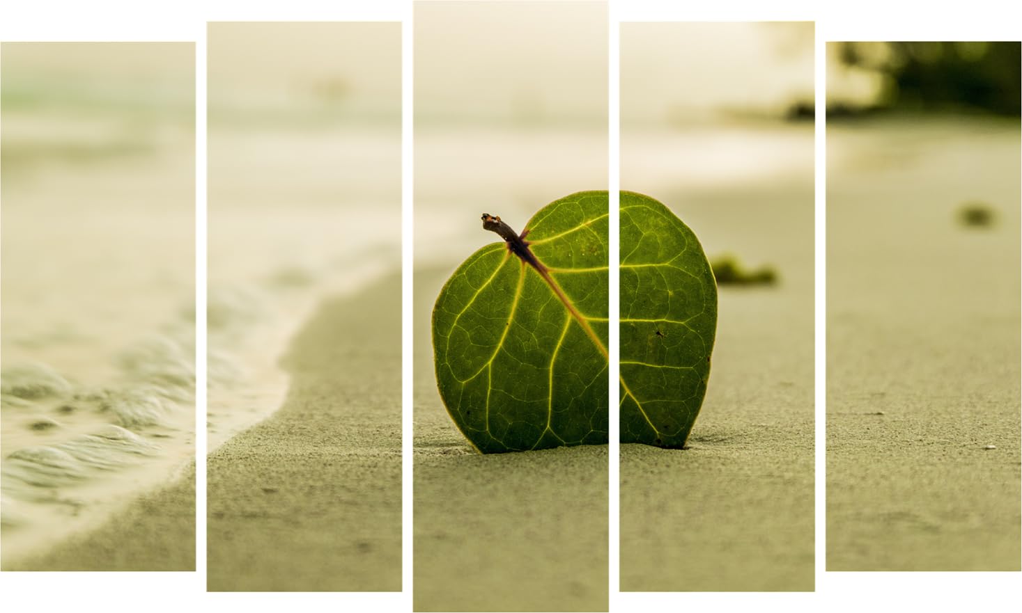 Leaf It To Your Walls: Framed Multi-Frame Leaf Wall Art That'll Spruce Up Your Space (127x76cm)