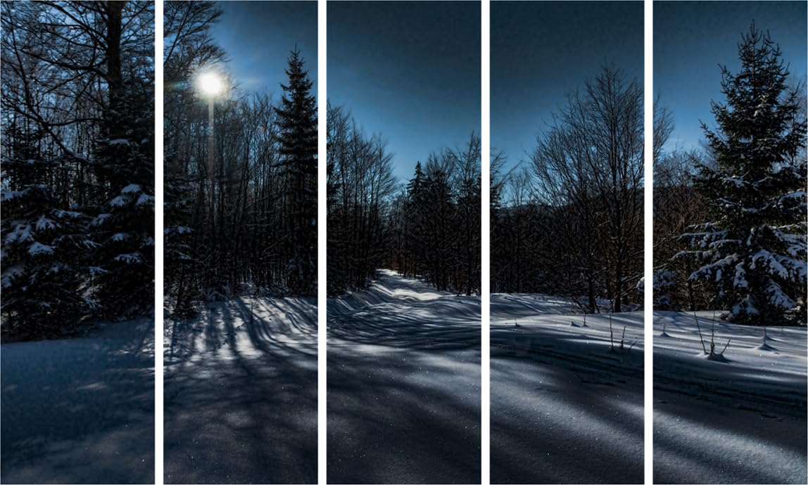 Snow-tastic Multi-Frame Photography Wall Art Framed to Chill - 127x76cm
