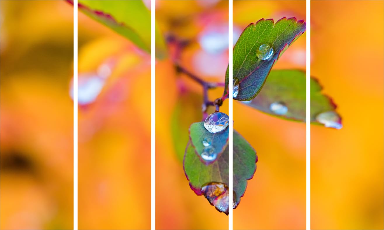Leaf-tastic Multi-Frame Photography Framed Wall Art (127x76cm)
