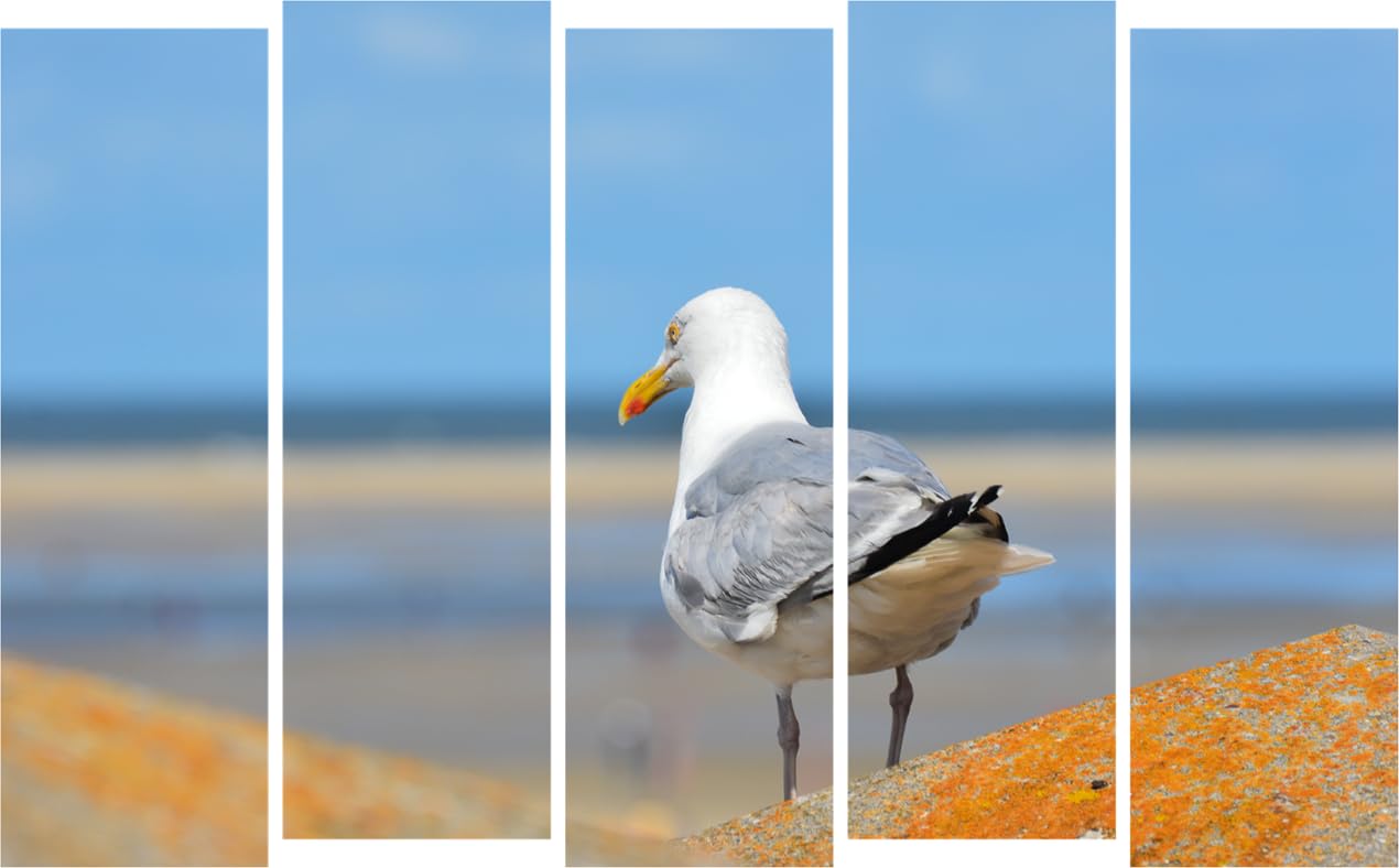 Bird-iful Multi-Frame Wall Art That'll Make Your Walls Chirp