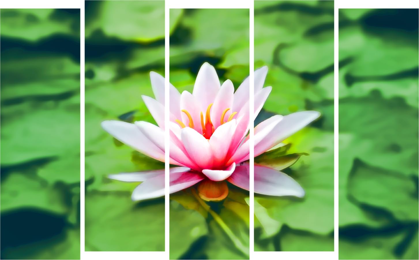 Bloom 'n' Zoom Wall Art featuring five framed panels of vibrant floral photography in a modern living room setting.