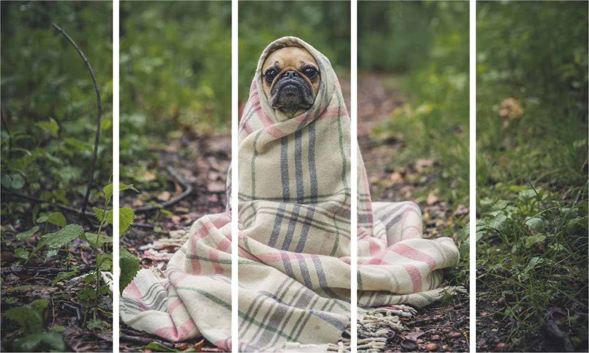 Pawsome Pup Panorama: Framed Dog Photography Multi-Frame Wall Art That Wags Your Walls (127x76cm)