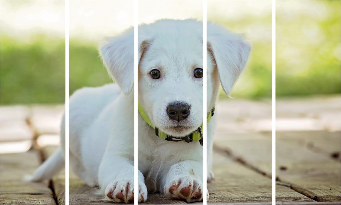 Dog-gone Cute Framed Wall Art That'll Have Tails Wagging