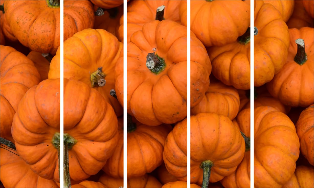 Pumpkin-tastic Photography: 5-Panel Framed Wall Art to Carve a Smile (127x76cm)