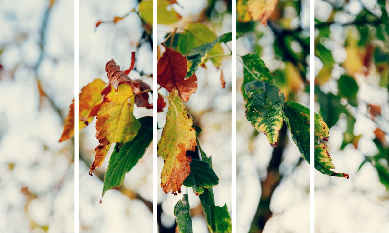 Leafs Gone Wild 5-Panel Abstract Framed Wall Art showing multicolor leaf patterns on a white wall