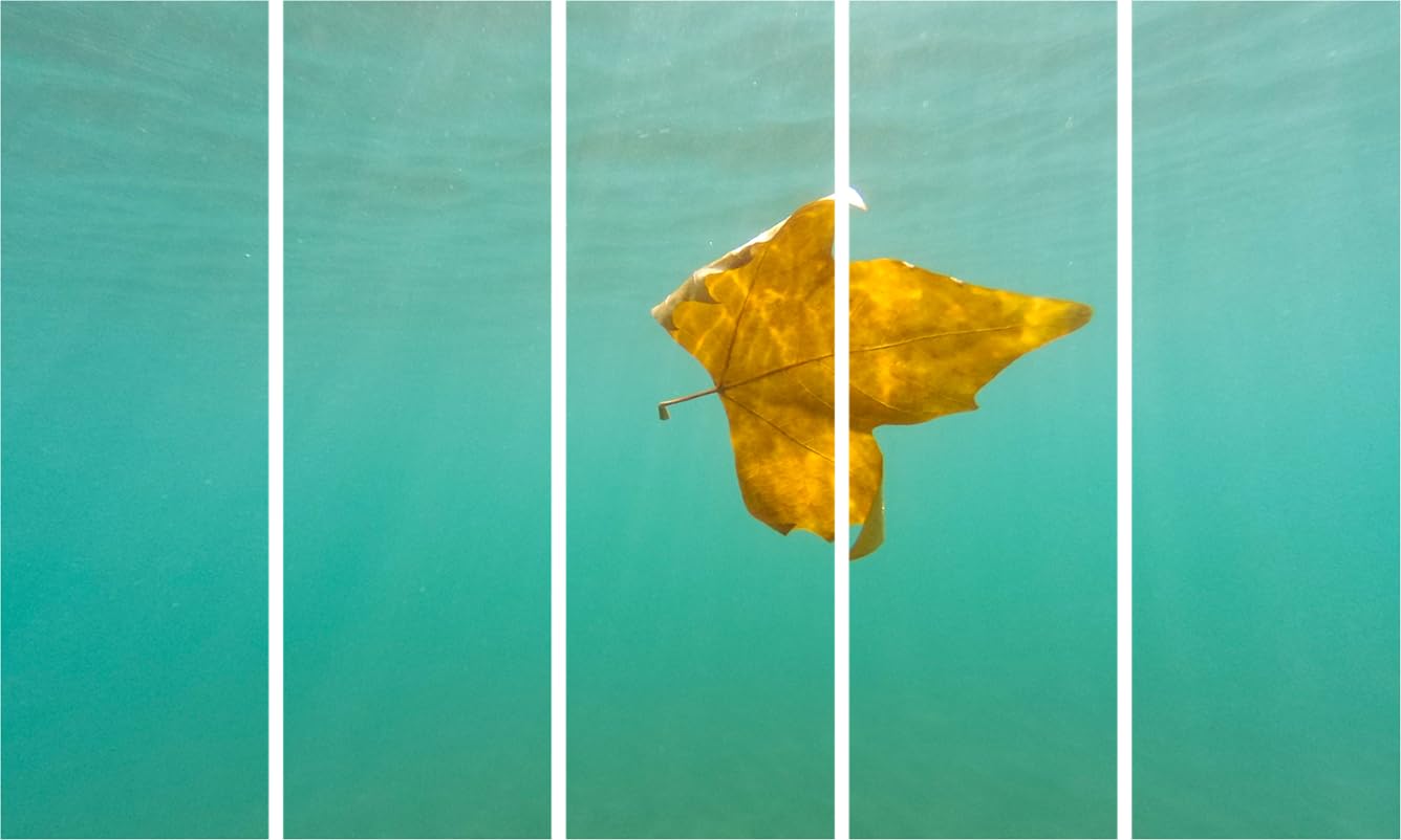 Wave Hello: Multi-Frame Leaf in Water Photography Framed Wall Art