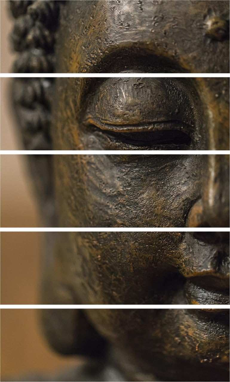 Buddha-tiful 5-Frame Wall Art That Packs Zen Punch displayed over a cozy sofa in living room.