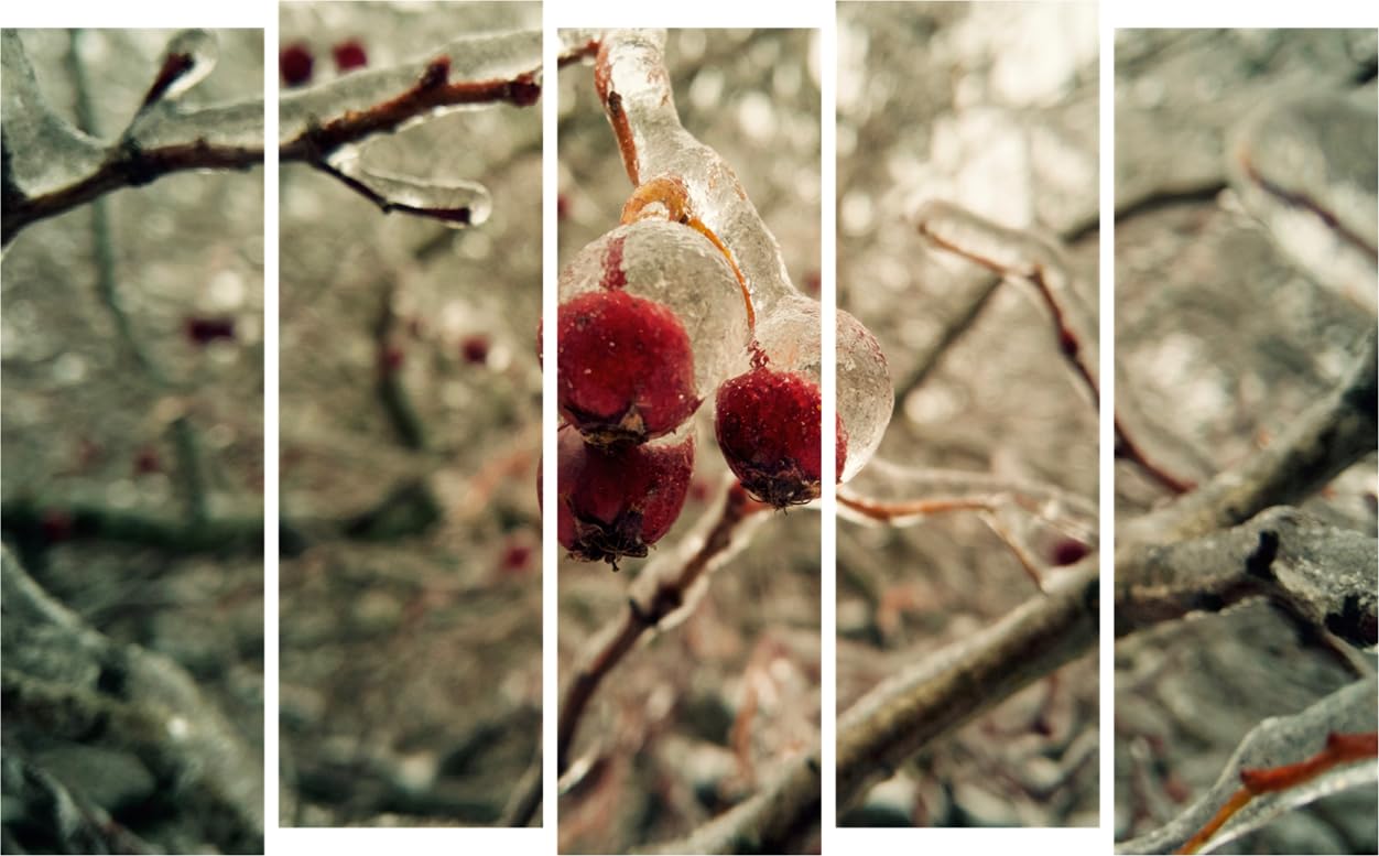 Nature-ous 5-Panel Photography Framed Wall Art Ready to Spruce Up (127x76cm)