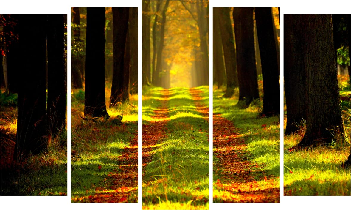 Forest-tastic Framed Photography Wall Art That Brings Nature Indoors