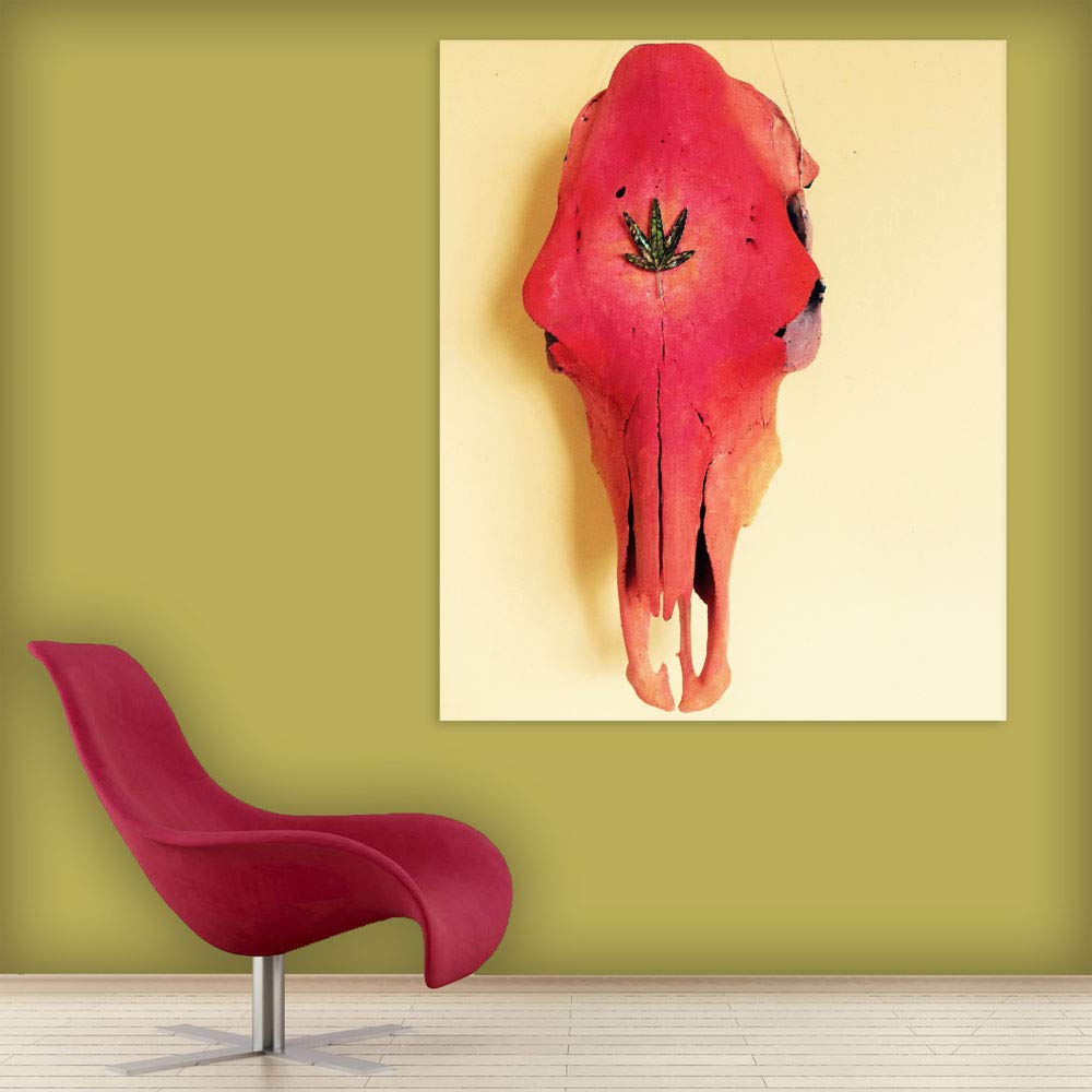 Dino-mite Redheaded Dinosaur Unframed Wall Art showcasing vibrant red dinosaur head on white cotton canvas