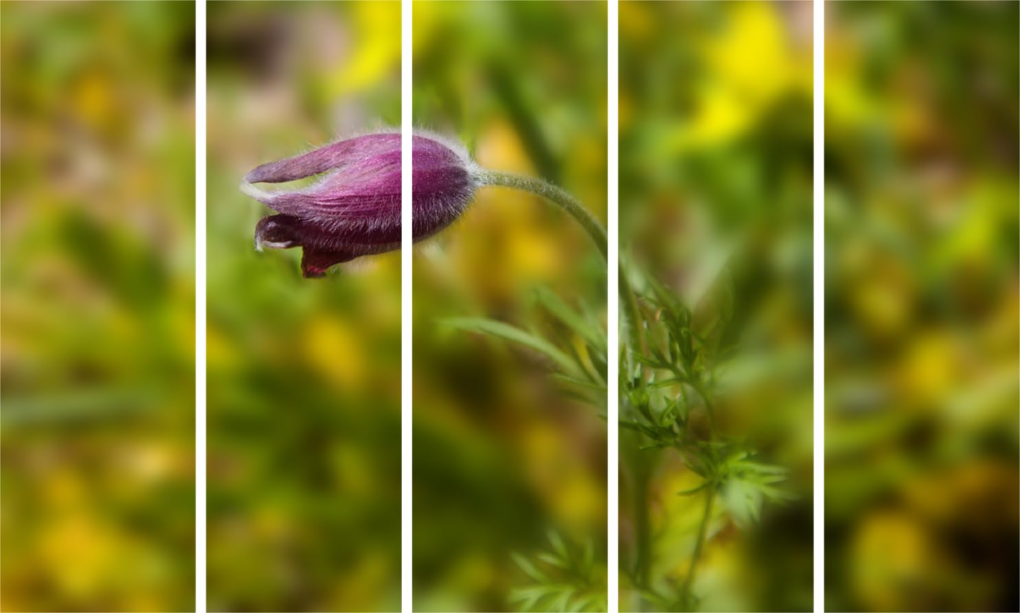 Flower Power Photography Wall Art That'll Make Your Walls Bloom - Framed Multi-Panel Floral Wall Art (150x76cm)