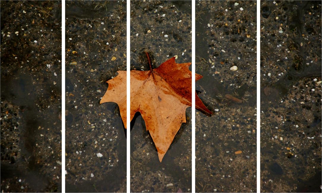 Leaf Your Walls in Awe: Photography Framed Multi-Frame Wall Art