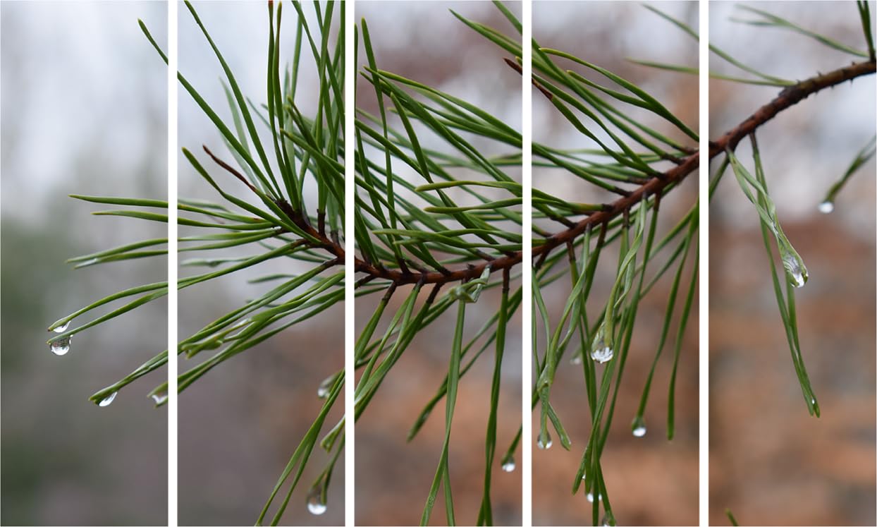Raindrop Rhapsody Photography That'll Have Your Walls Singing - 5-Panel Framed Wall Art Splash Spectacular (127x76cm)