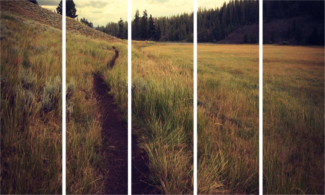 Grass-sational Nature Photography Framed Wall Art That'll Make Your Room Bloom (150x76cm Multi-Panel)