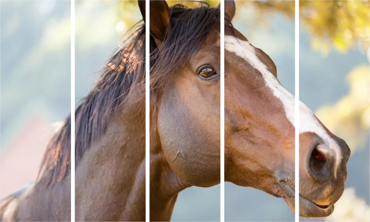 Horse-Whispering Multi-Frame Stallion Spectacle Framed Wall Art with galloping horses across five panels