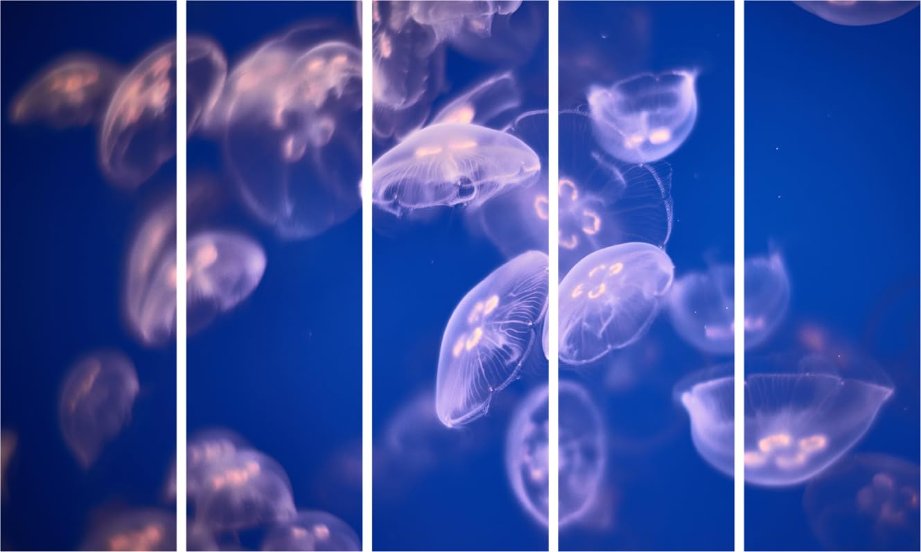 Jelly-tastic Multi-Frame Abstract Wall Art That'll Make Your Walls Swim